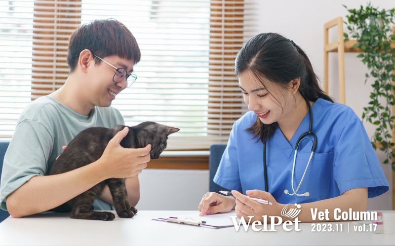 welpet 預防勝於治療，寵物健康檢查攻略，降低寵物生病風險