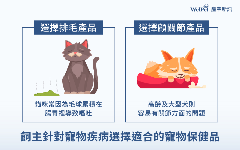 飼主針對寵物疾病選擇適合的寵物保健品