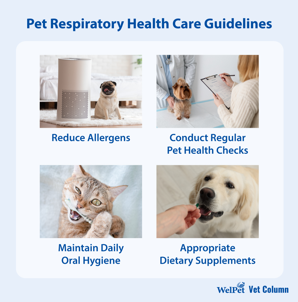 welpet-Pet Respiratory Health Guidelines: Keeping Dogs and Cats From Sneezing